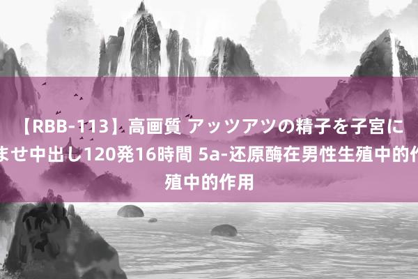 【RBB-113】高画質 アッツアツの精子を子宮に孕ませ中出し120発16時間 5a-还原酶在男性生殖中的作用