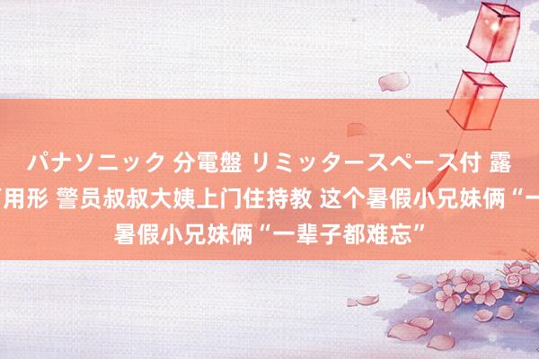 パナソニック 分電盤 リミッタースペース付 露出・半埋込両用形 警员叔叔大姨上门住持教 这个暑假小兄妹俩“一辈子都难忘”