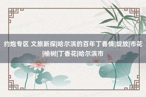 约炮专区 文旅新探|哈尔滨的百年丁香情|绽放|市花|榆树|丁香花|哈尔滨市