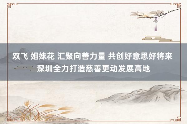 双飞 姐妹花 汇聚向善力量 共创好意思好将来 深圳全力打造慈善更动发展高地