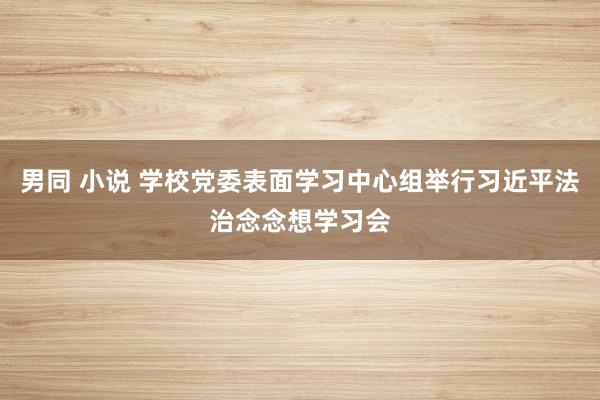 男同 小说 学校党委表面学习中心组举行习近平法治念念想学习会
