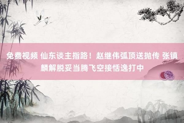 免费视频 仙东谈主指路！赵继伟弧顶送抛传 张镇麟解脱妥当腾飞空接恬逸打中