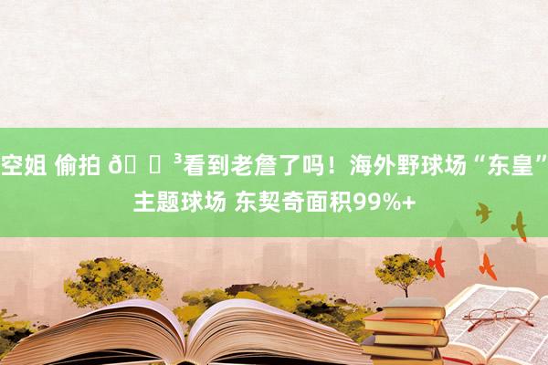 空姐 偷拍 😳看到老詹了吗！海外野球场“东皇”主题球场 东契奇面积99%+